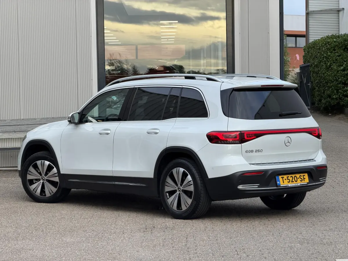 250 Business Line 67 kWh | NL-Auto/Carplay/Privacy Glass/Stoelverw.