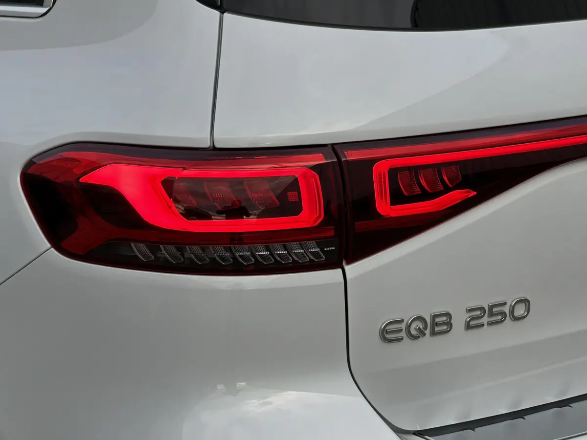 250 Business Line 67 kWh | NL-Auto/Carplay/Privacy Glass/Stoelverw.
