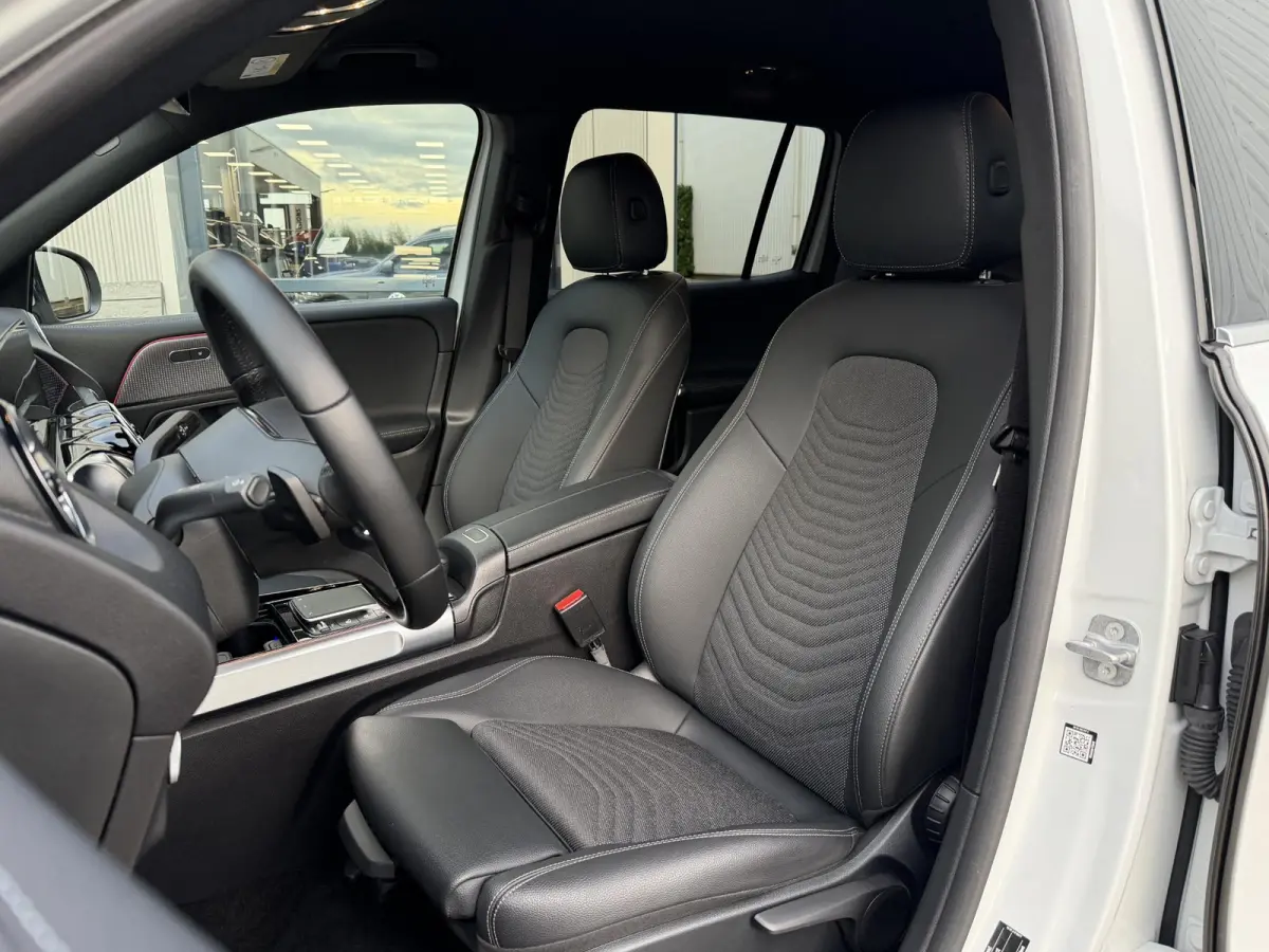 250 Business Line 67 kWh | NL-Auto/Carplay/Privacy Glass/Stoelverw.