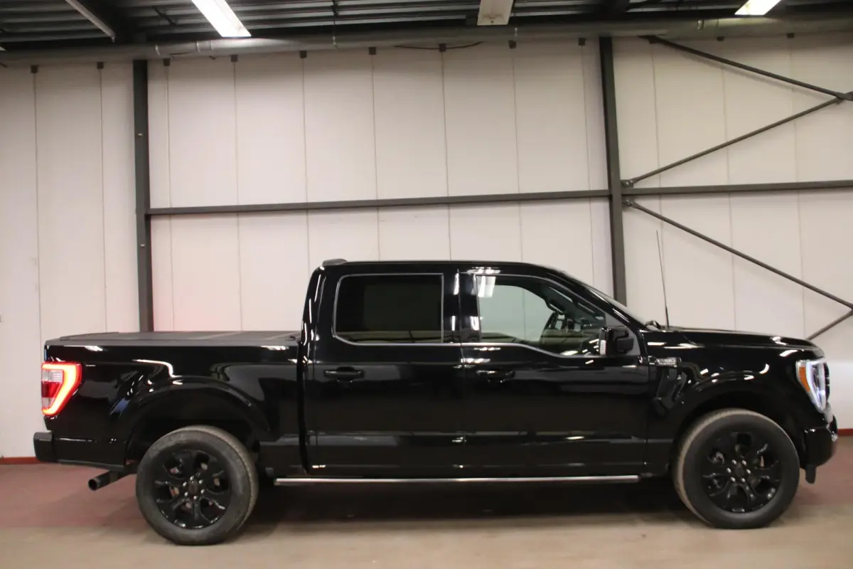 USA F-150 V6 EcoBoost PLATINUM
