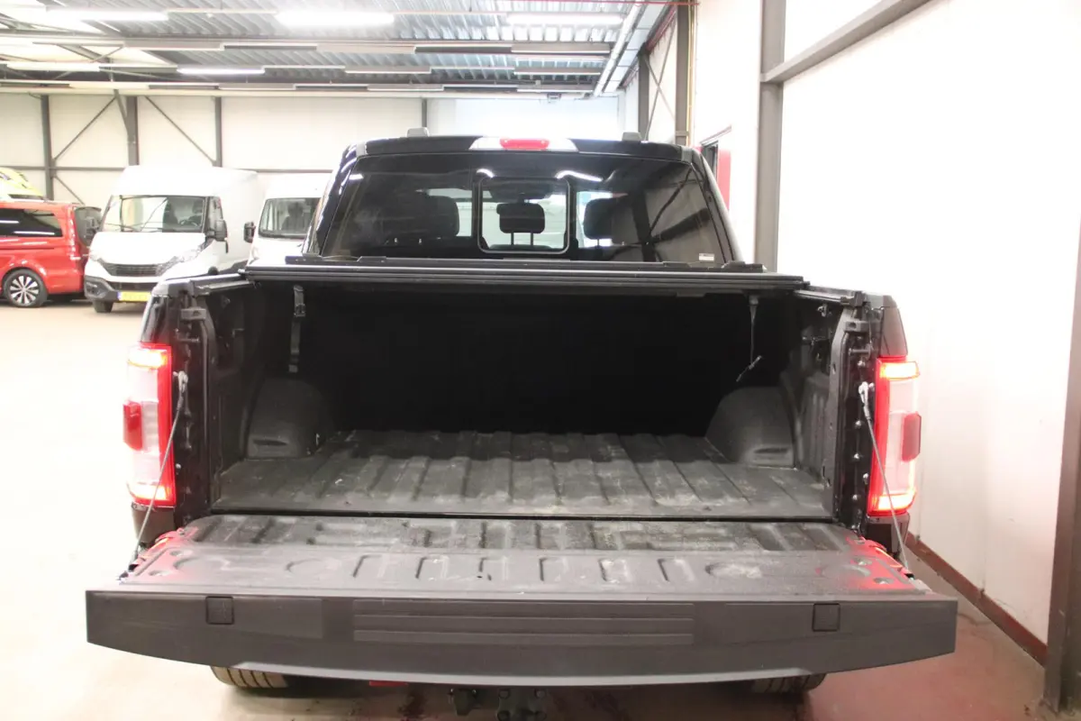 USA F-150 V6 EcoBoost PLATINUM