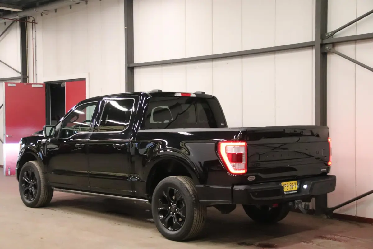 USA F-150 V6 EcoBoost PLATINUM