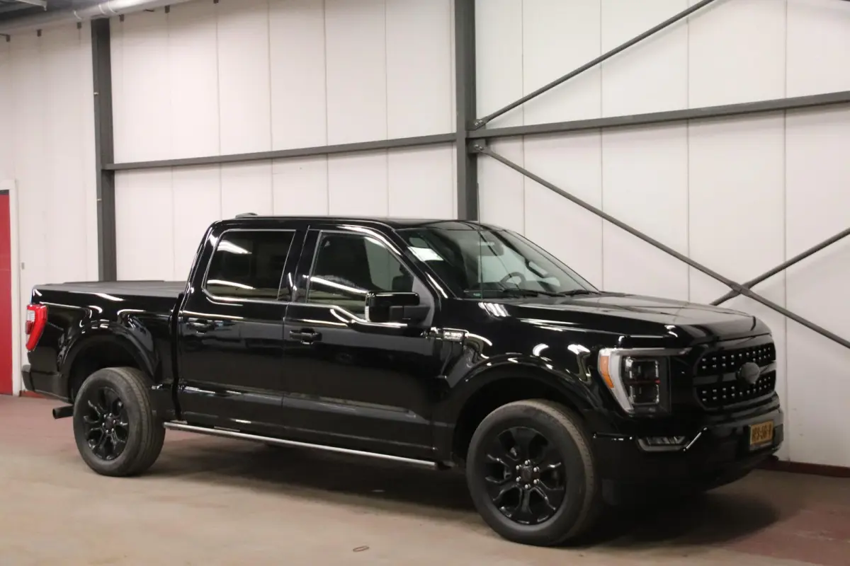 USA F-150 V6 EcoBoost PLATINUM