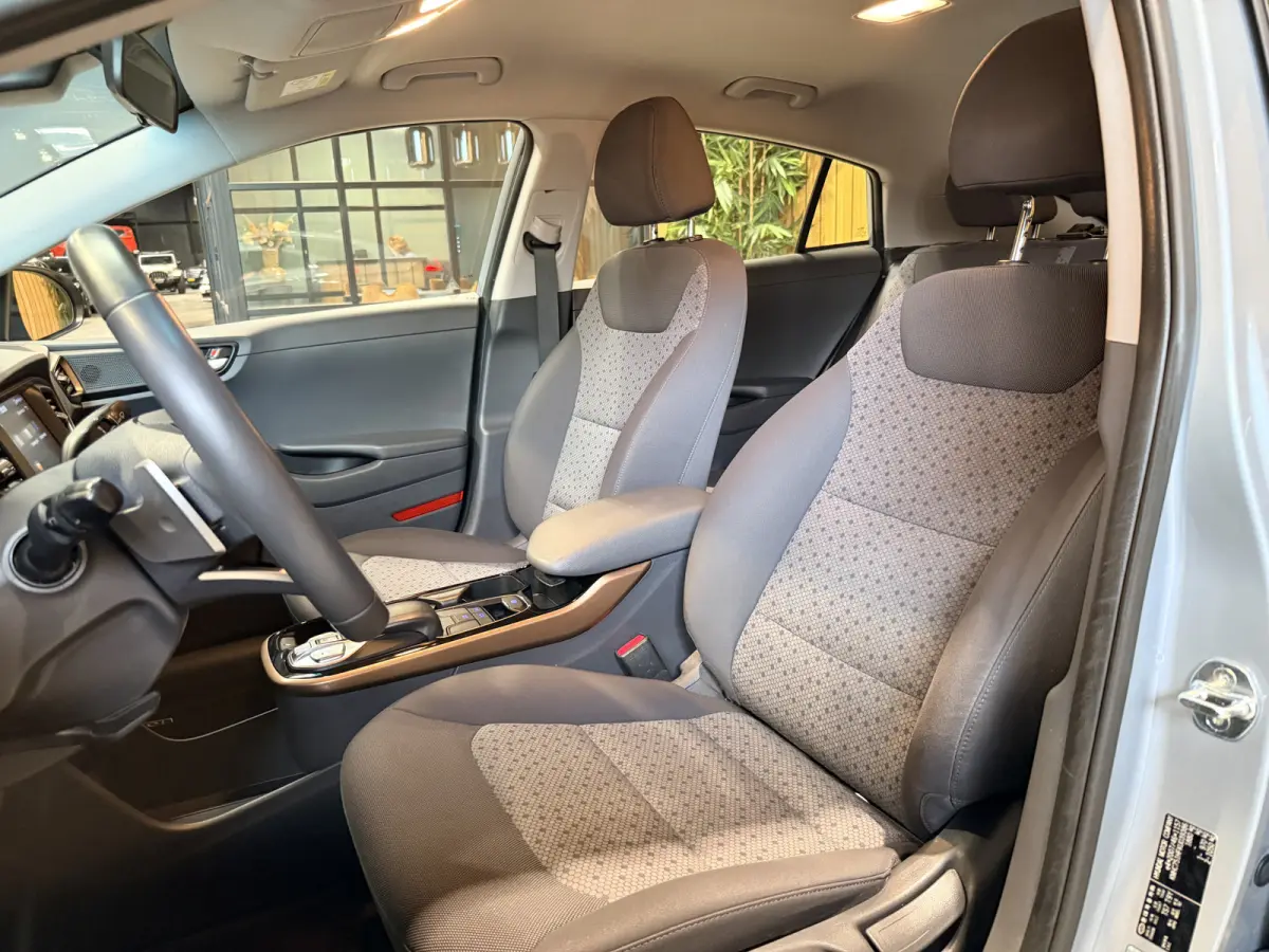 Comfort EV Camera. Navi. Apple-carplay. Baterrij 100%