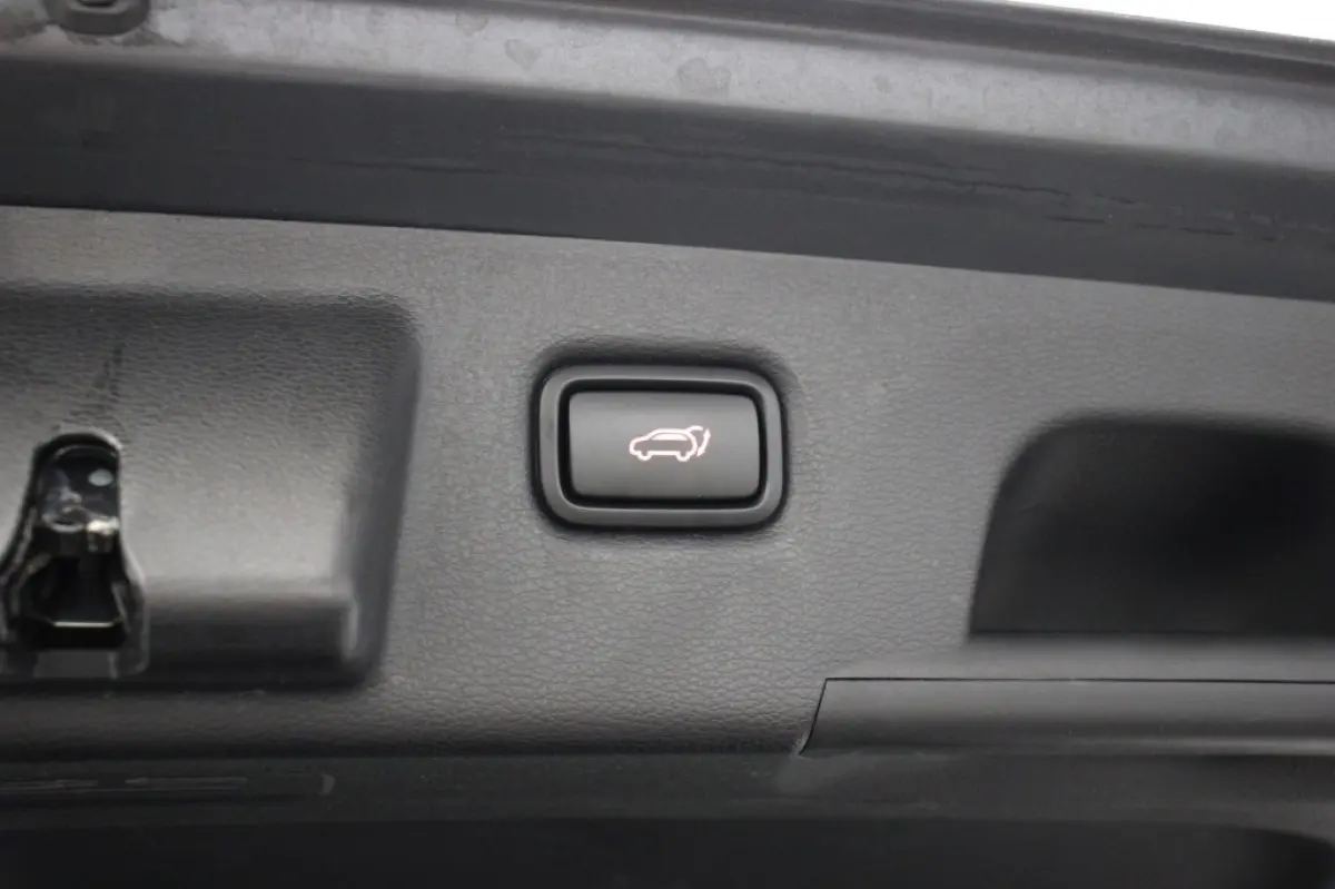 1.0 T-GDi DynamicPlusLine - Carplay, Camera, Cruise, Stoelverw. Blind Spot