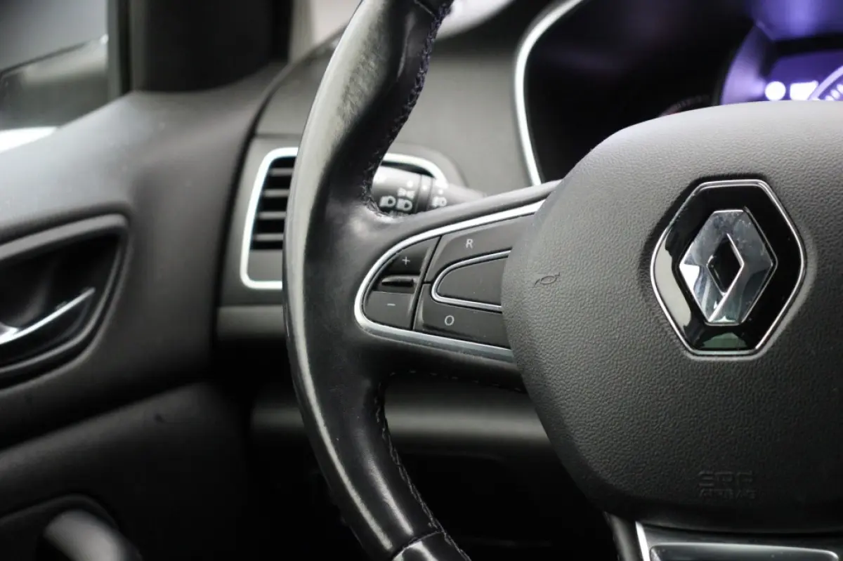 1.3 TCe Bose Automaat - Carplay, Navi, Cruise, Clima, Half Leer