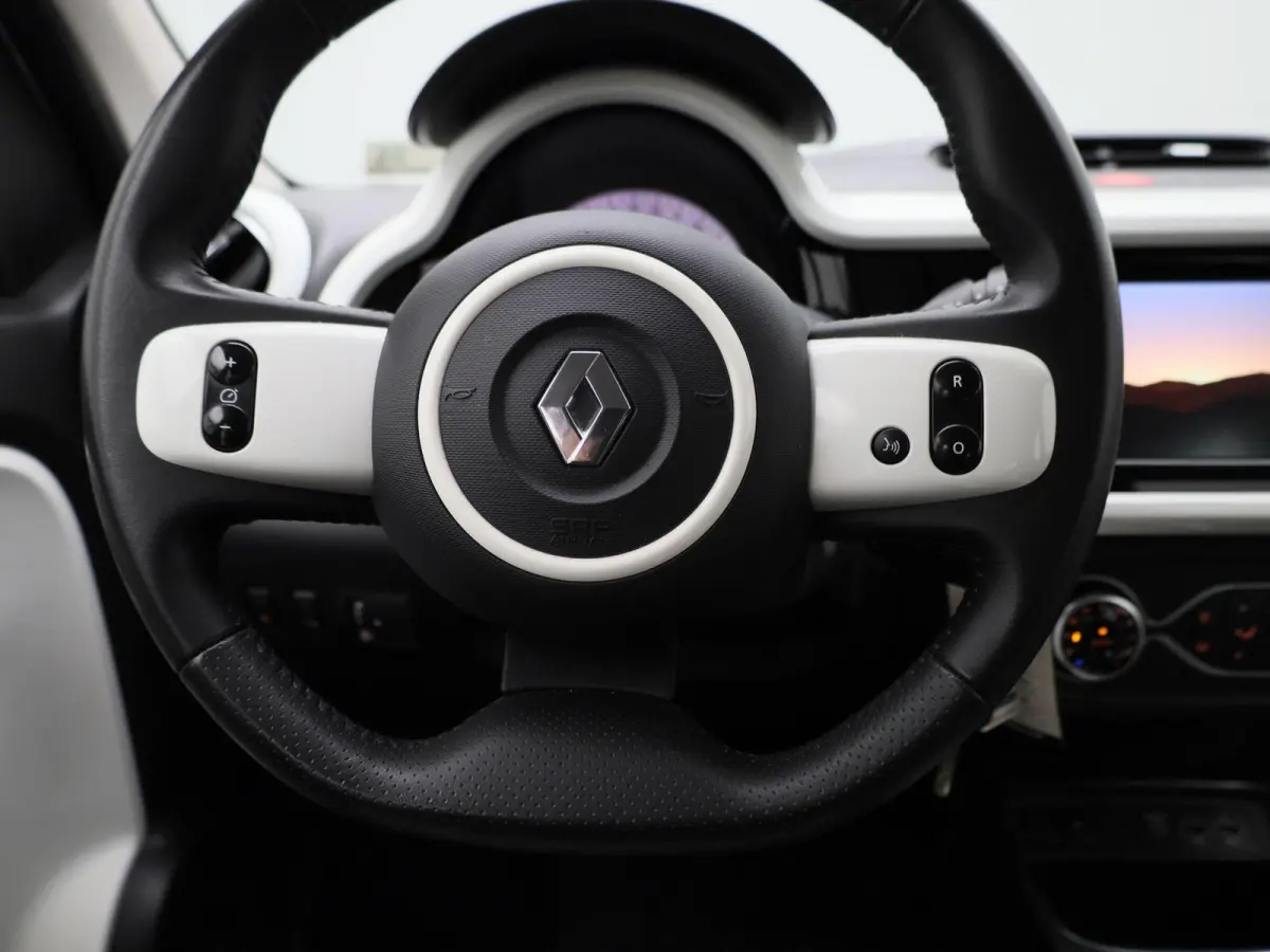 Z.E. R80 Intens | SOH 94%  | ACHTERUITRIJCAMERA | APPLE CARPLAY - ANDROID AUTO | STOELVERWARMING | CLIMATE CONTROL | CRUISE CONTROL |