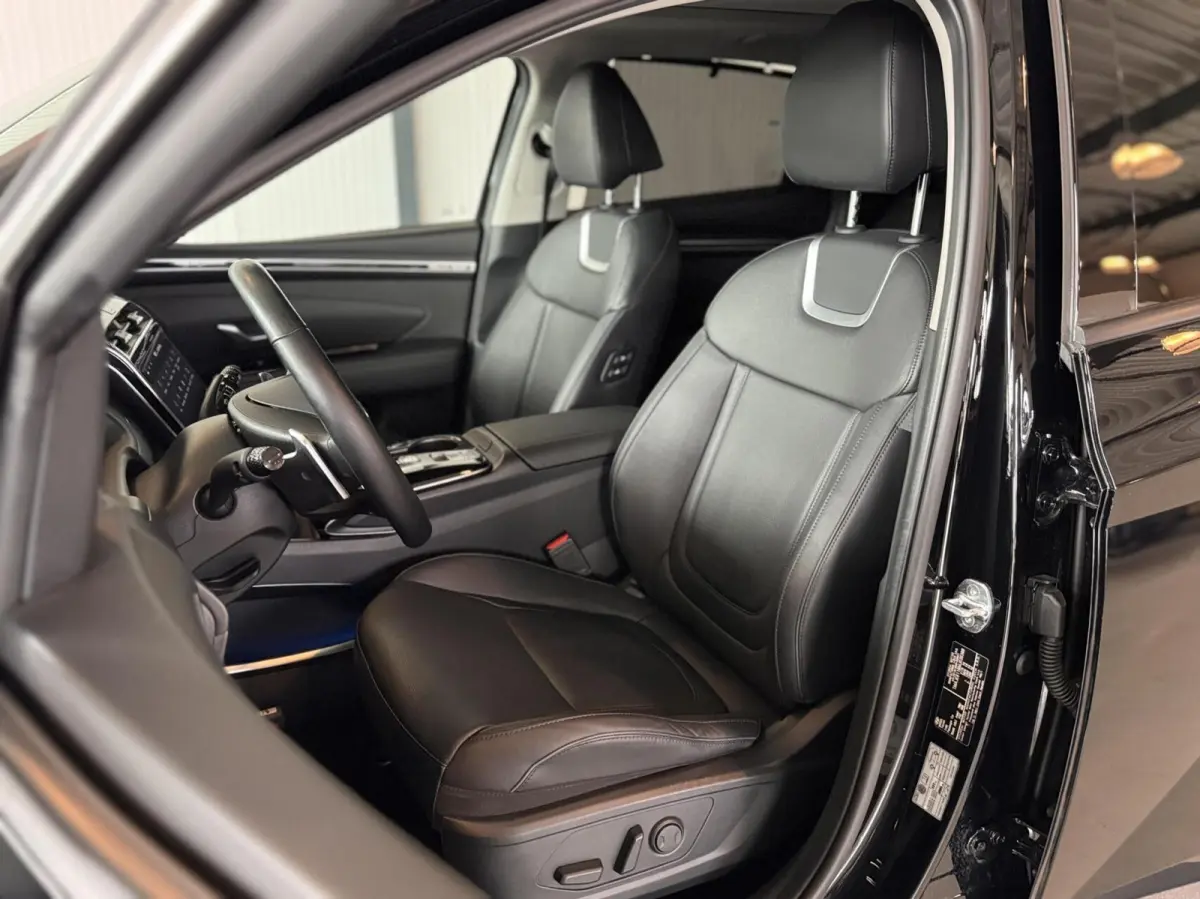 1.6 T-GDI HEV Premium Sky