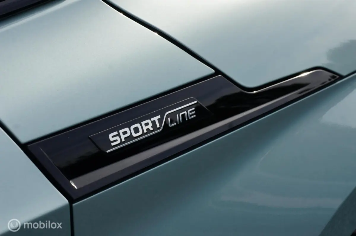 80 Sportline Led Matrix AdapCruise , SOH 93%.
