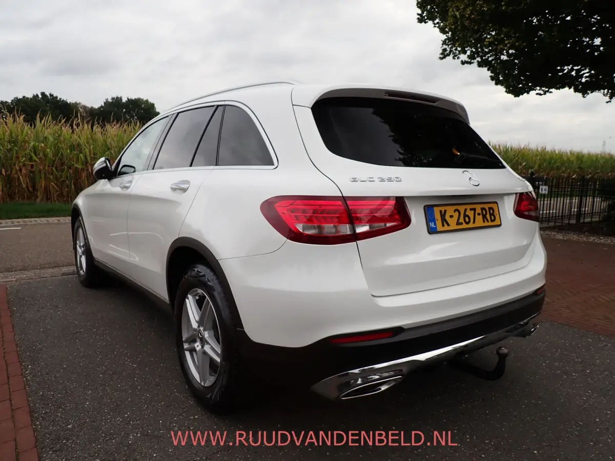 250 4MATIC LUCHTVERING / TREKHAAK / CAMERA / ACC