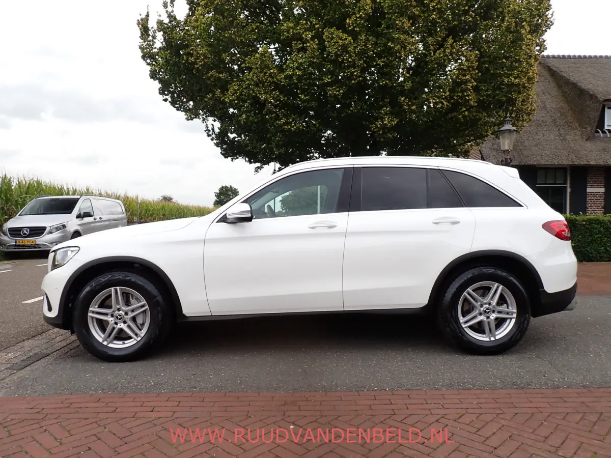 250 4MATIC LUCHTVERING / TREKHAAK / CAMERA / ACC