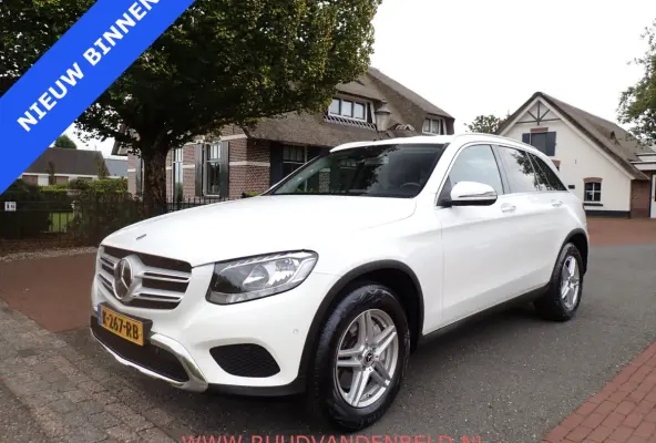 250 4MATIC LUCHTVERING / TREKHAAK / CAMERA / ACC