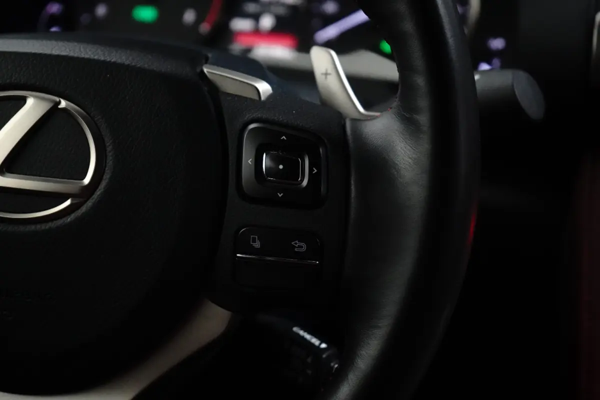 300h | UNIEK! | CRUISE CONTROL |CAMERA | DODE HOEK DETECTIE | STOELVERWARMING | FULL LED