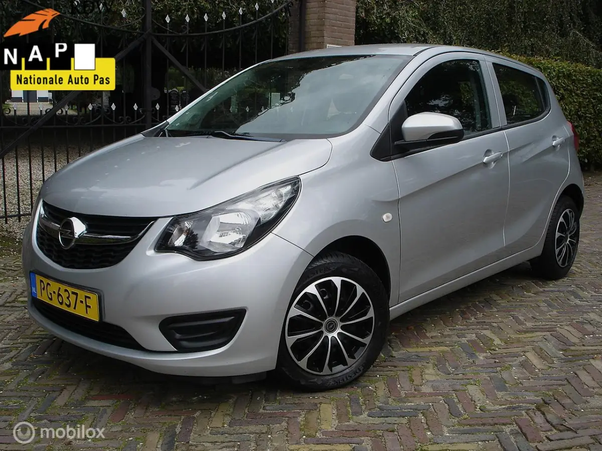 1.0 ecoFLEX (Bj 2017') NL-Auto | Apk 05-07-2027'