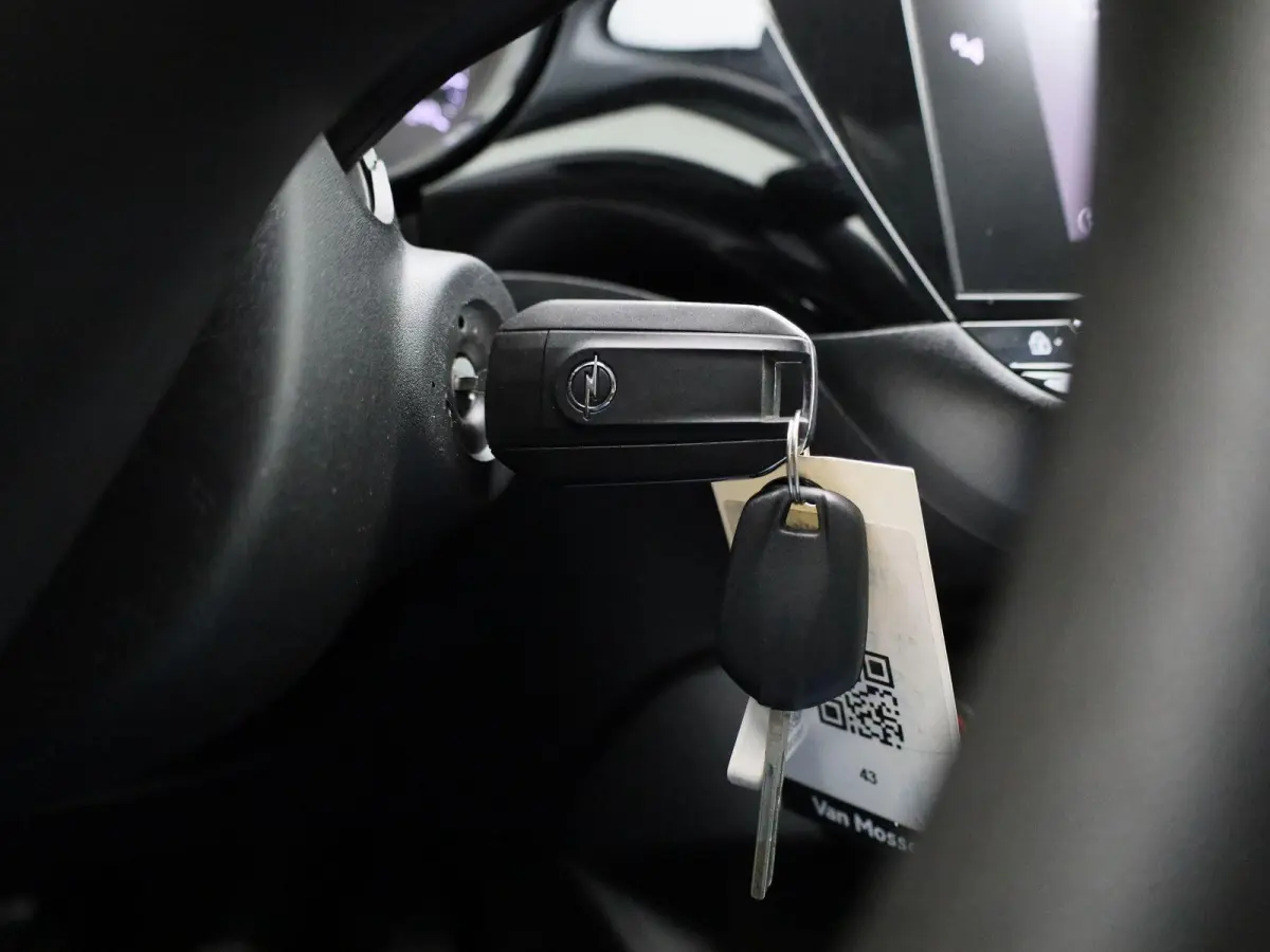 1.2 Level 2 | Apple Carplay / Android Auto | Cruise Control | Lichtmetalen Velgen |