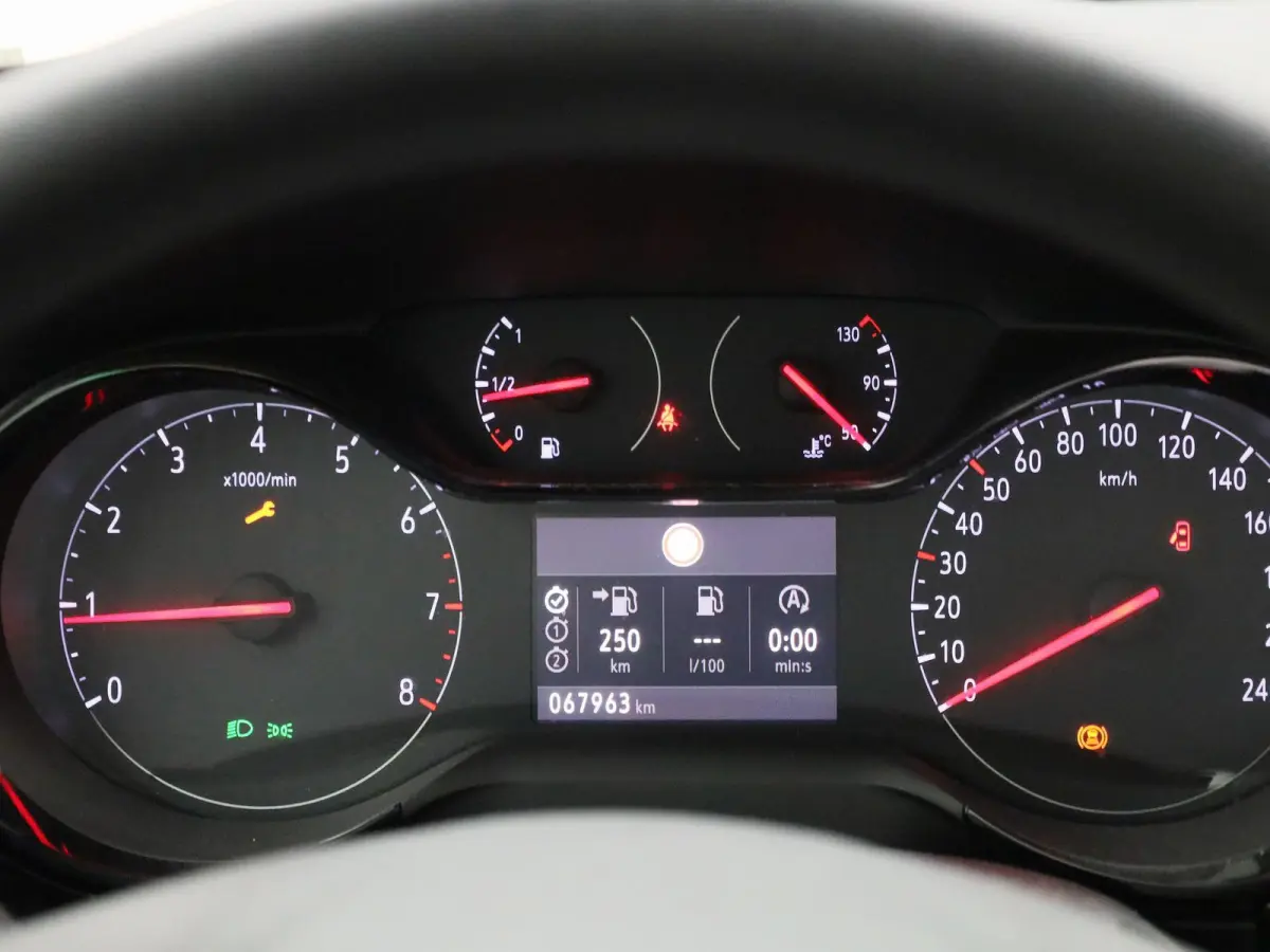 1.2 Level 2 | Apple Carplay / Android Auto | Cruise Control | Lichtmetalen Velgen |