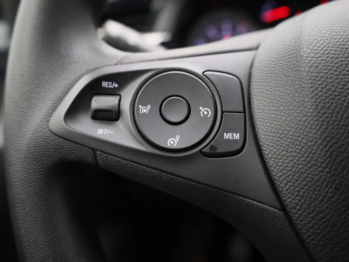 1.2 Level 2 | Apple Carplay / Android Auto | Cruise Control | Lichtmetalen Velgen |