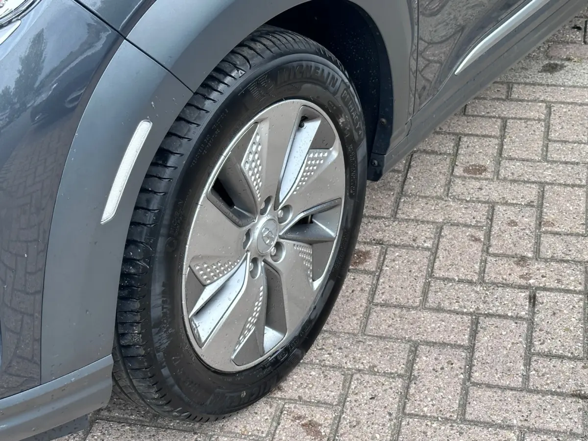 EV Comfort 64 kWh SOH 100% FASE 3 LEER / KARL