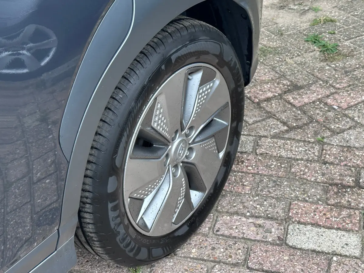 EV Comfort 64 kWh SOH 100% FASE 3 LEER / KARL