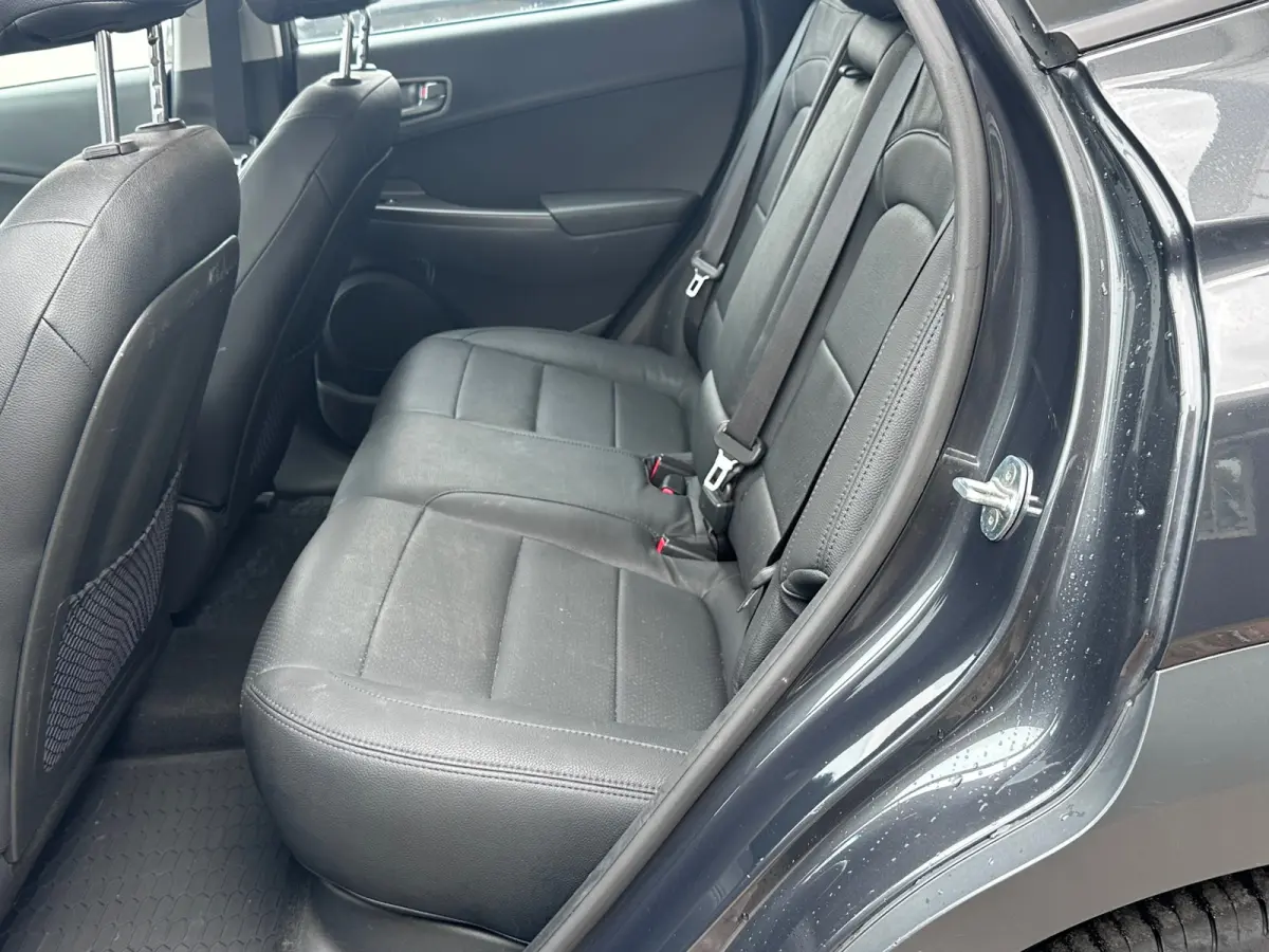 EV Comfort 64 kWh SOH 100% FASE 3 LEER / KARL