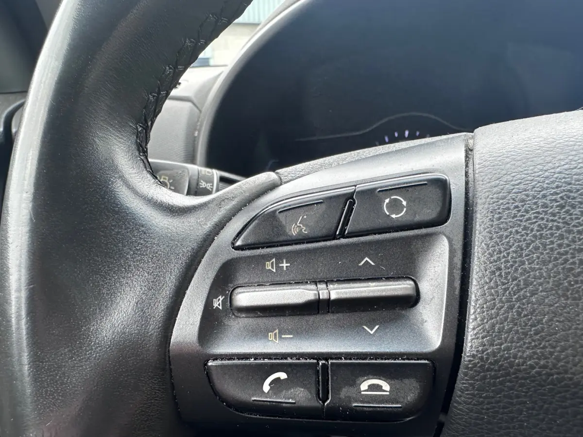 EV Comfort 64 kWh SOH 100% FASE 3 LEER / KARL