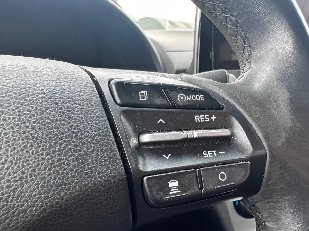 EV Comfort 64 kWh SOH 100% FASE 3 LEER / KARL