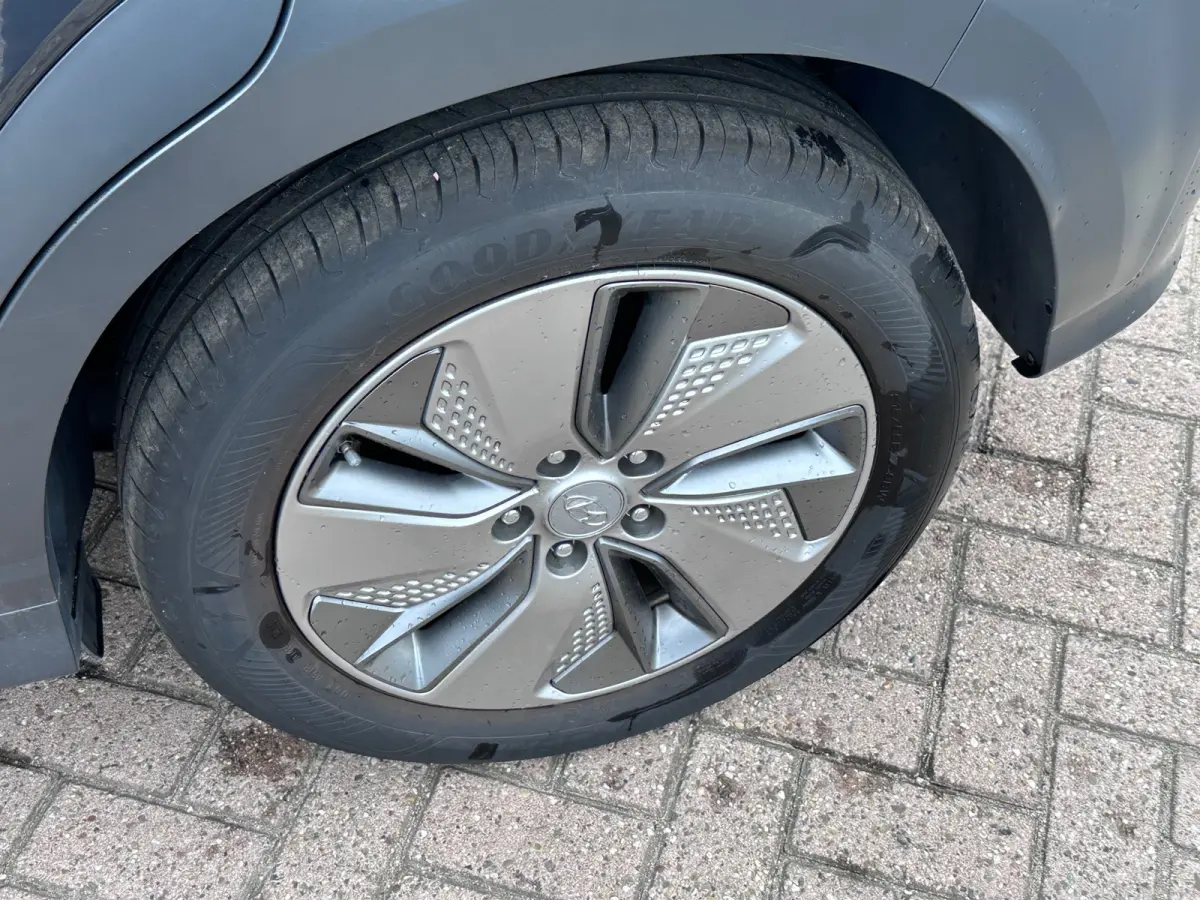 EV Comfort 64 kWh SOH 100% FASE 3 LEER / KARL