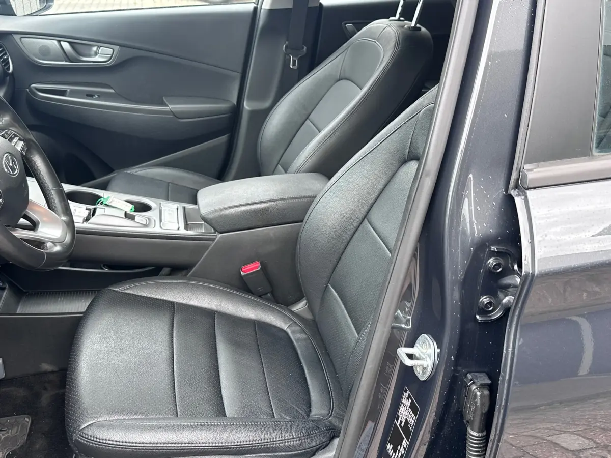 EV Comfort 64 kWh SOH 100% FASE 3 LEER / KARL
