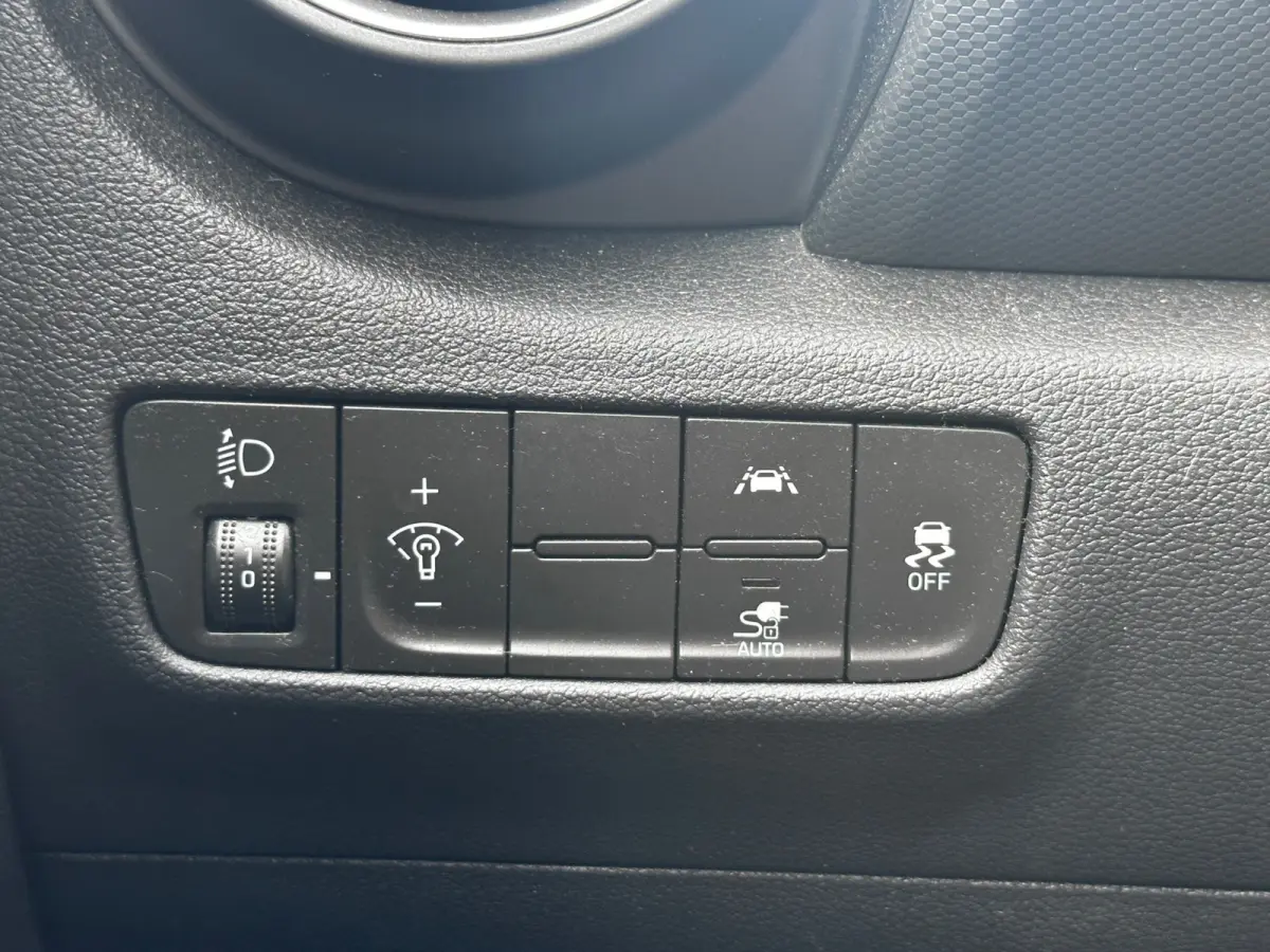 EV Comfort 64 kWh SOH 100% FASE 3 LEER / KARL