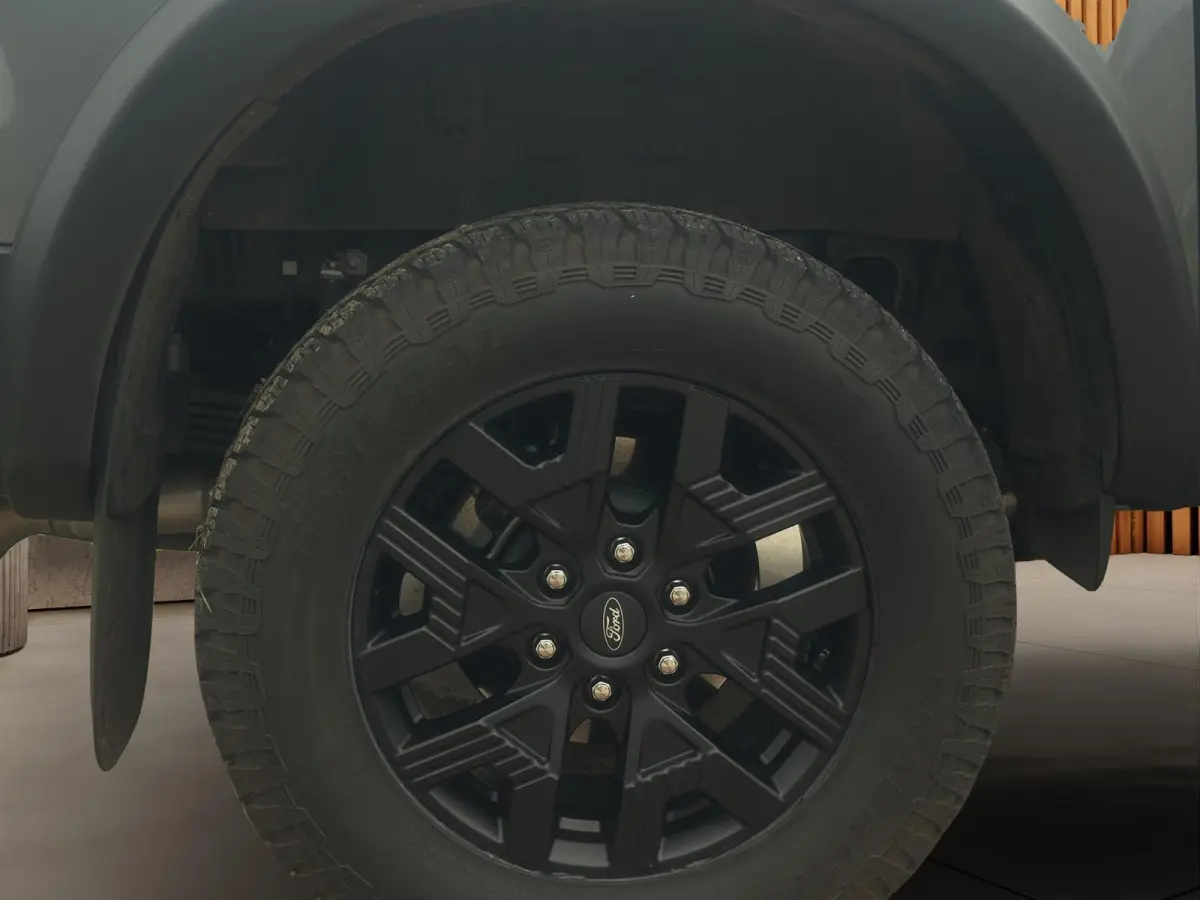 Wildtrak Dubbel Cabine Plug-in Hybride Raptor Edition | Bullbar | Black Pack | LED | 5 pers. | Uniek!