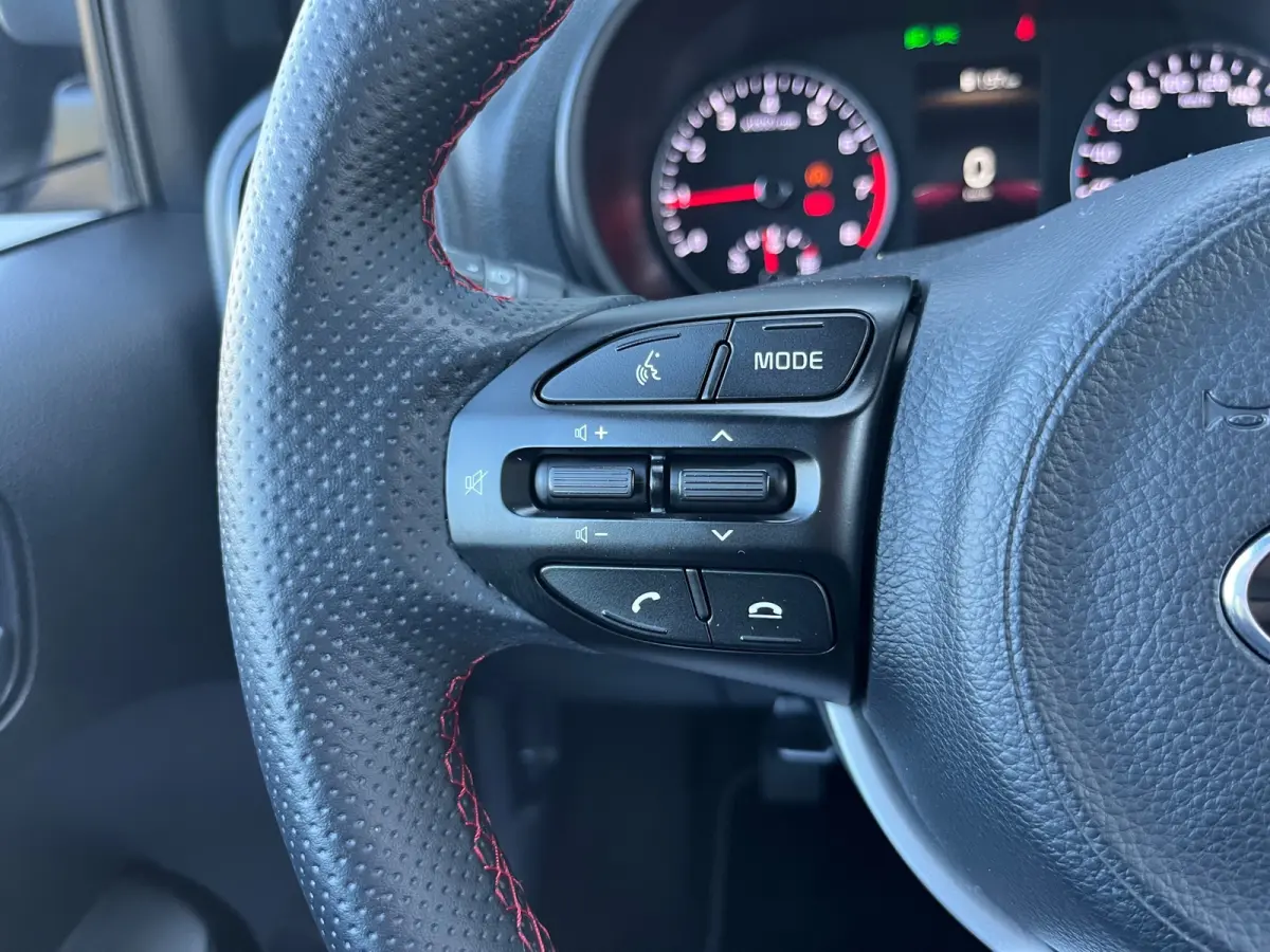 1.0 DPi GT-Line NL.Auto/Leder/Camera/Carplay/Climatronic/Cruise/16Inch/5Deurs/1Ste Eigenaar/Dealer onderhouden