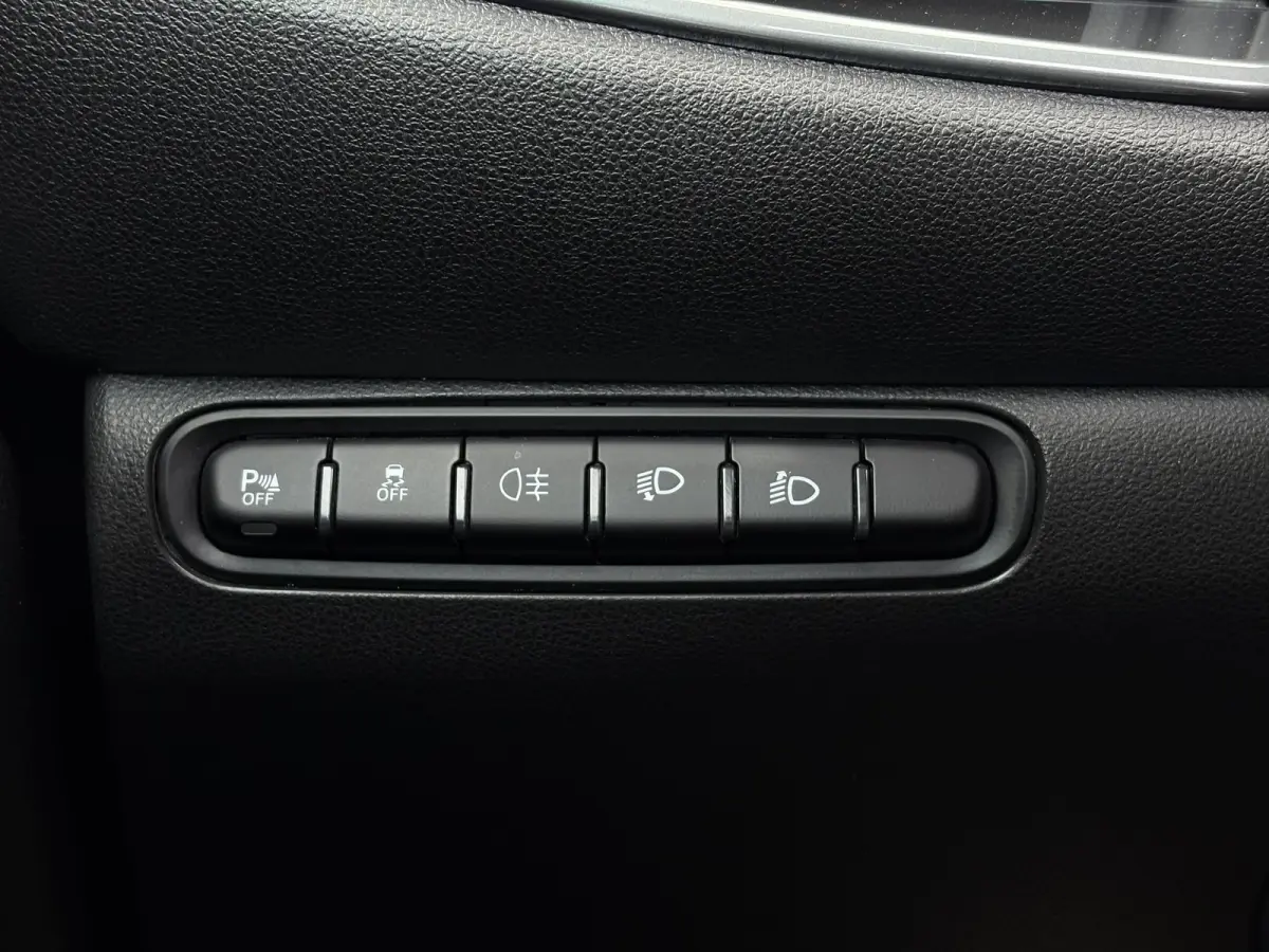 42 kwh 120 pk | SOH 92,5% | Stoelverwarming | Apple Carplay | Cruise control |
