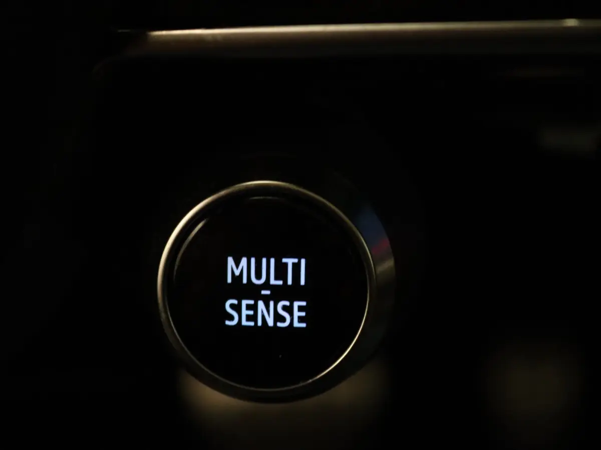 EV87 long range esprit Alpine Apple Carplay/Android Auto | Climate
