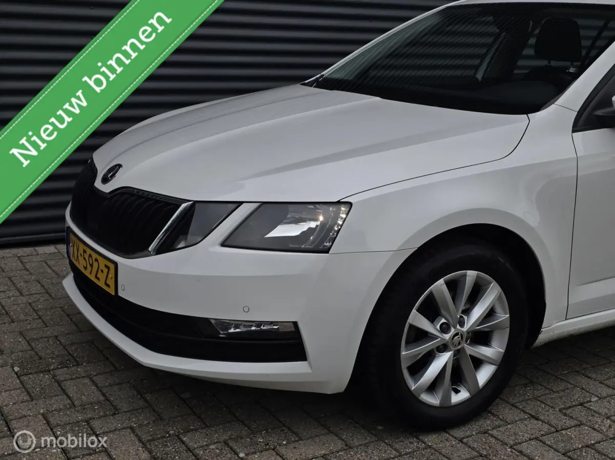 1.0 TSI Greentech Ambition Business