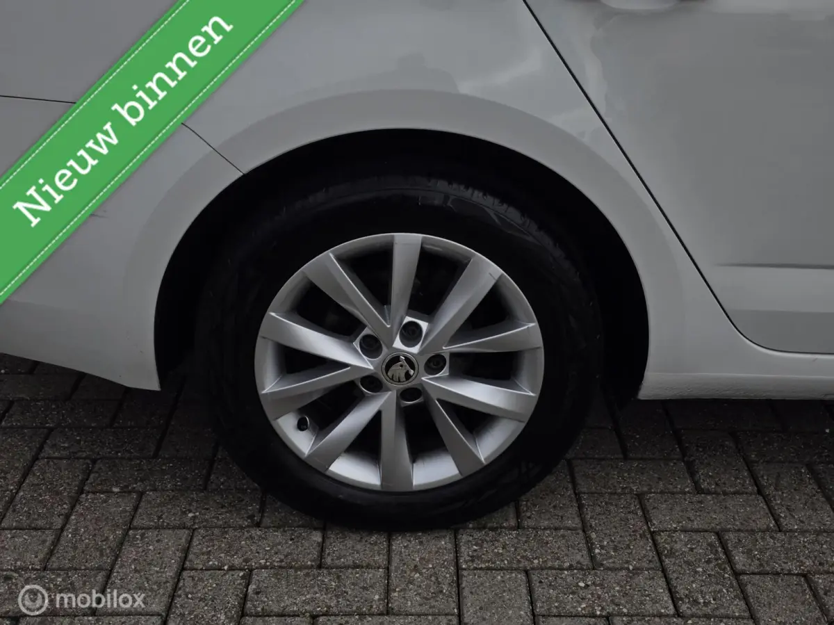 1.0 TSI Greentech Ambition Business
