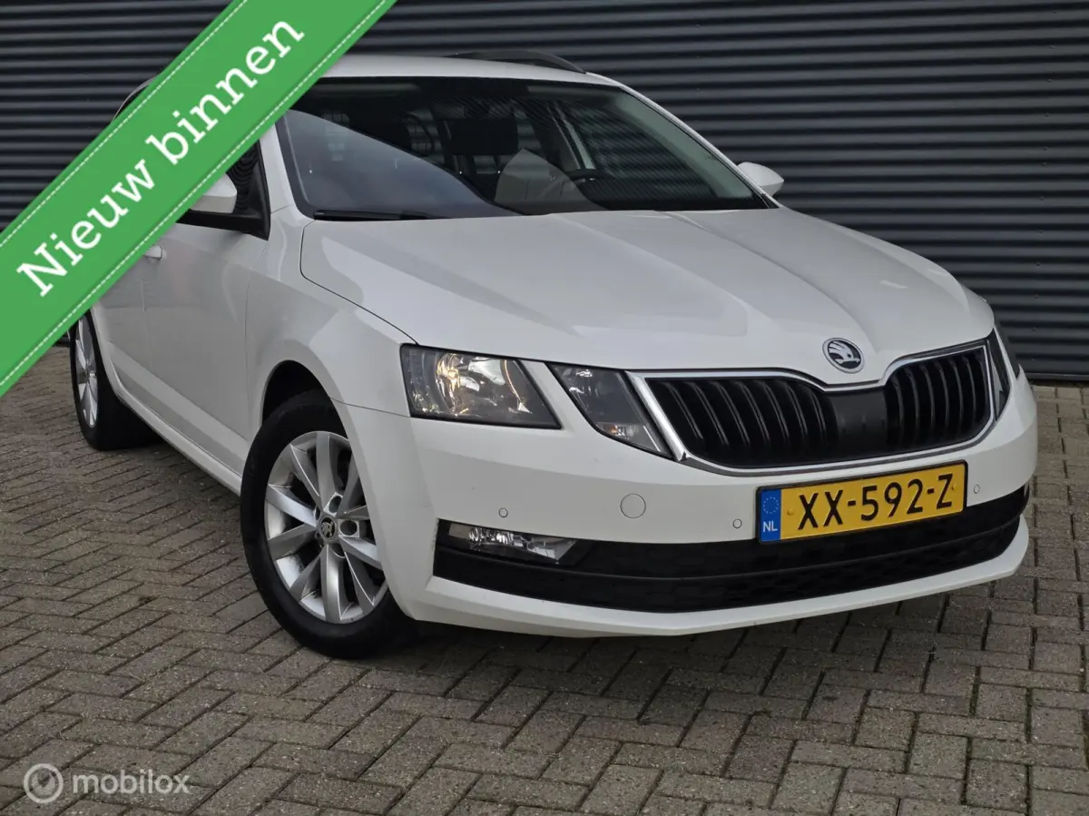 1.0 TSI Greentech Ambition Business