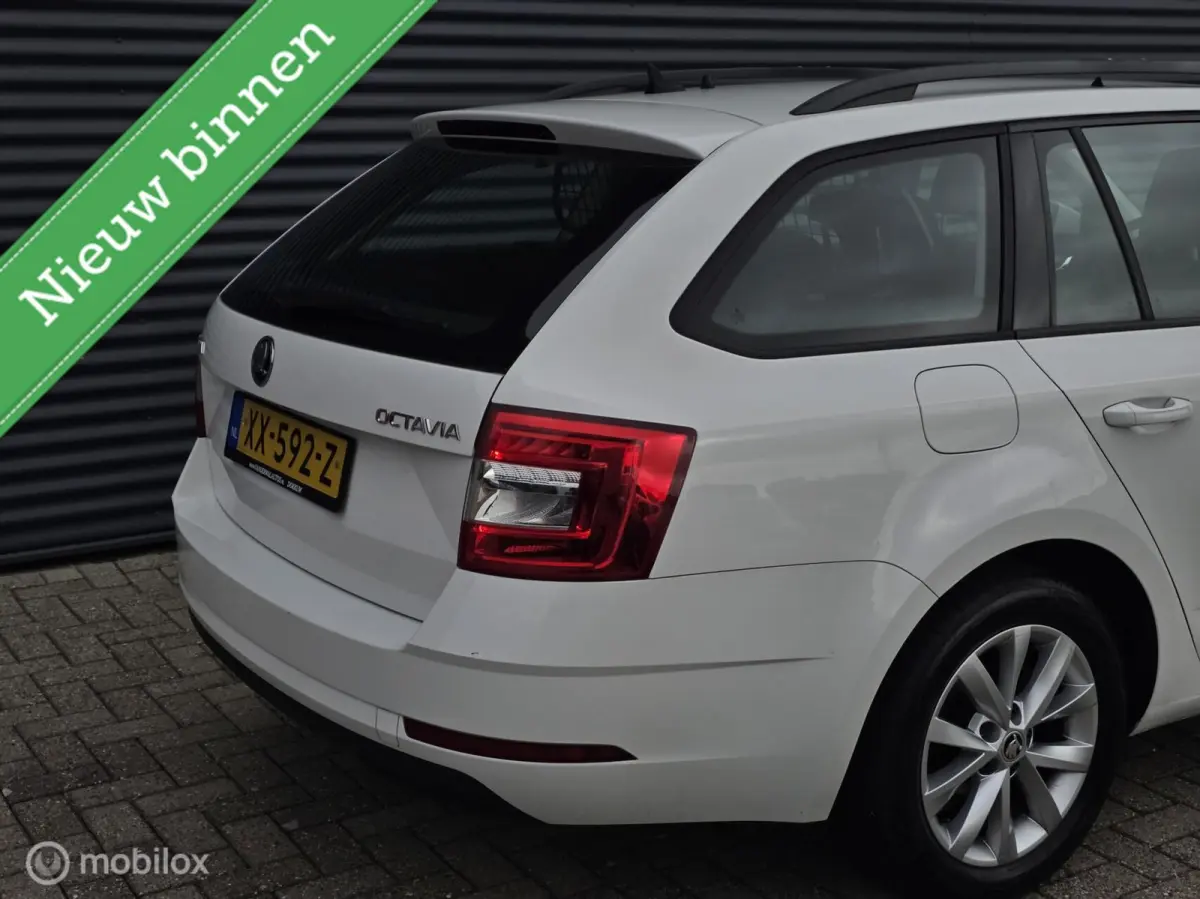1.0 TSI Greentech Ambition Business