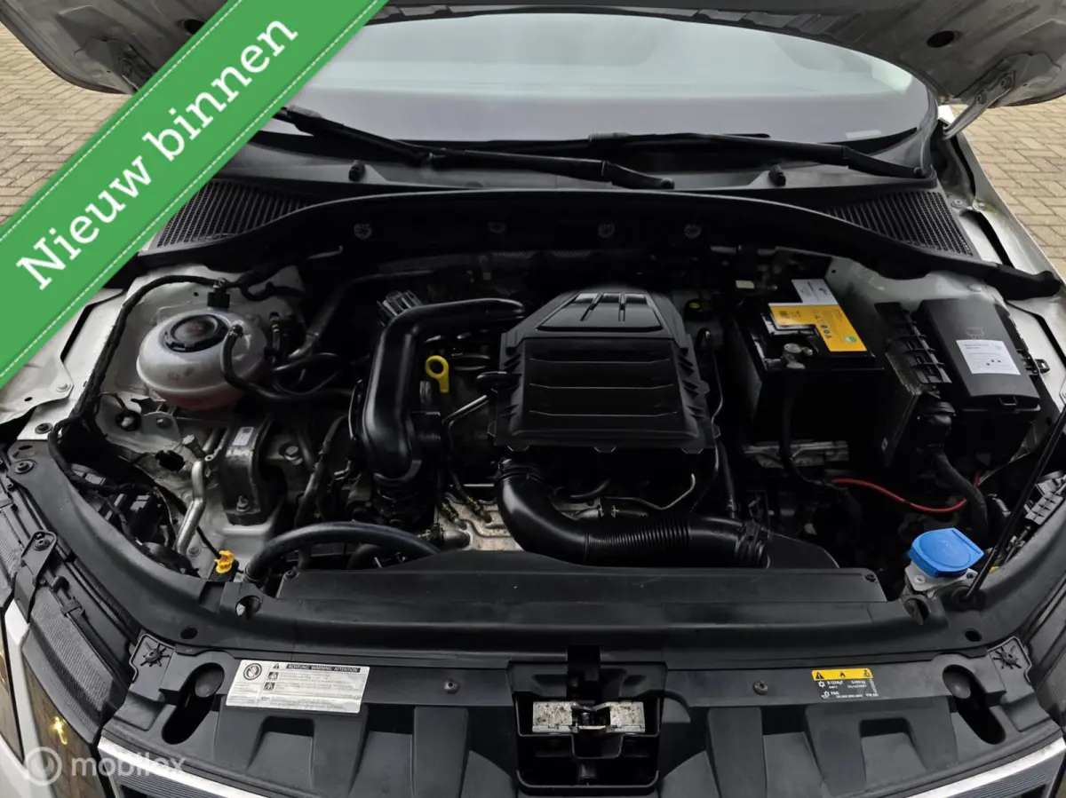 1.0 TSI Greentech Ambition Business