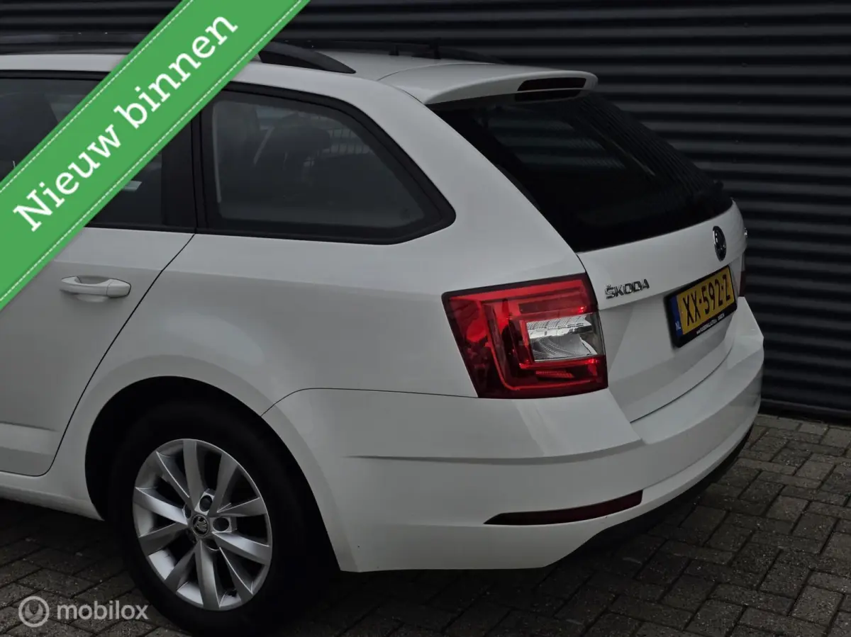 1.0 TSI Greentech Ambition Business