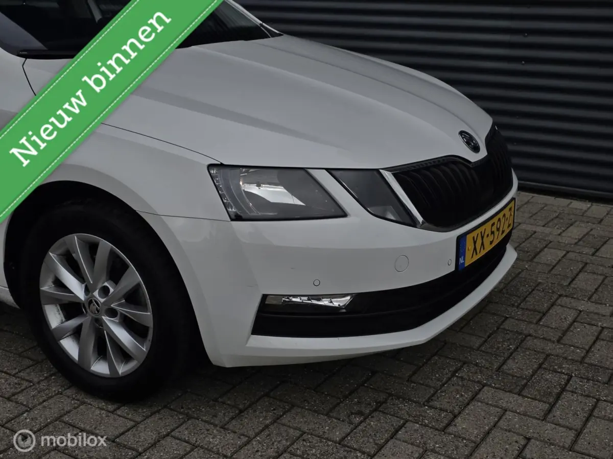 1.0 TSI Greentech Ambition Business