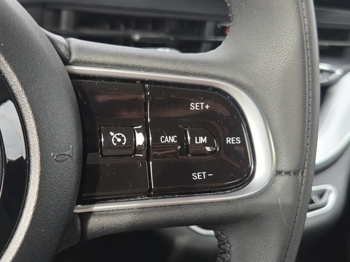 Icon 42 kWh SOH 94,12% | Camera | Full map navigatie | Carplay/android auto | 16 inch lmv |