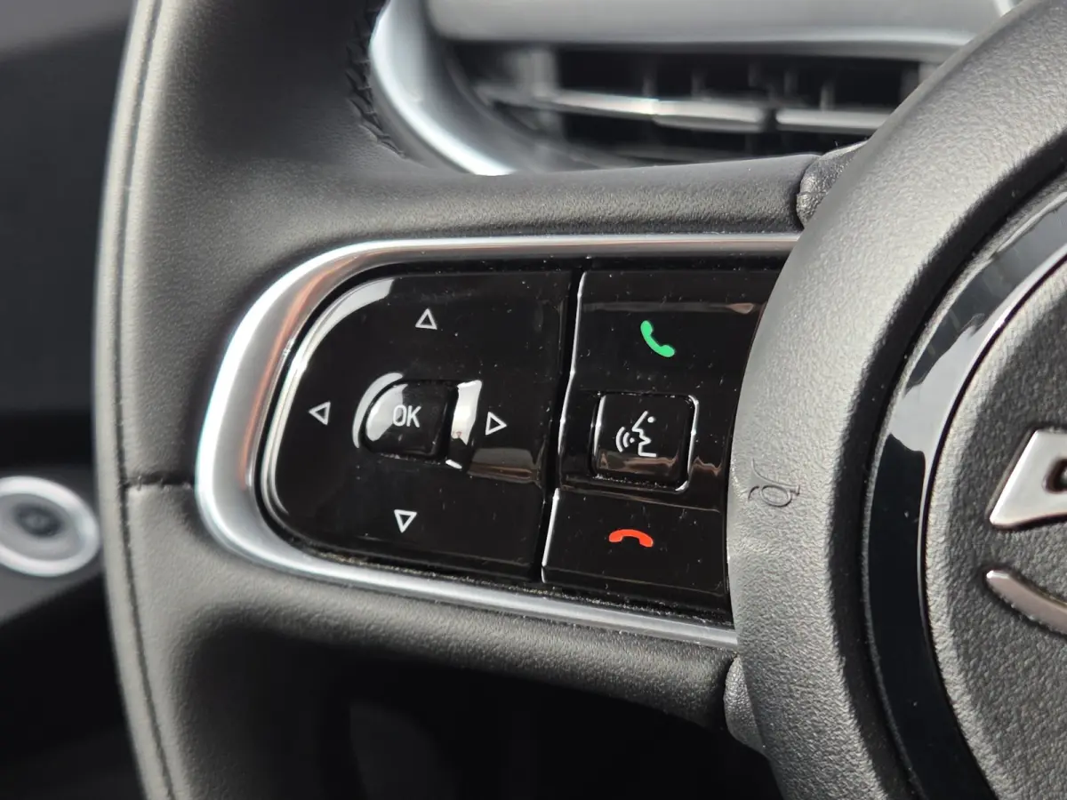 Icon 42 kWh SOH 94,12% | Camera | Full map navigatie | Carplay/android auto | 16 inch lmv |