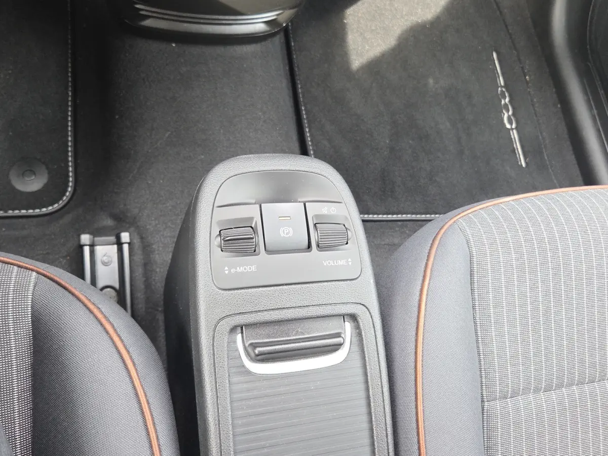 Icon 42 kWh SOH 94,12% | Camera | Full map navigatie | Carplay/android auto | 16 inch lmv |