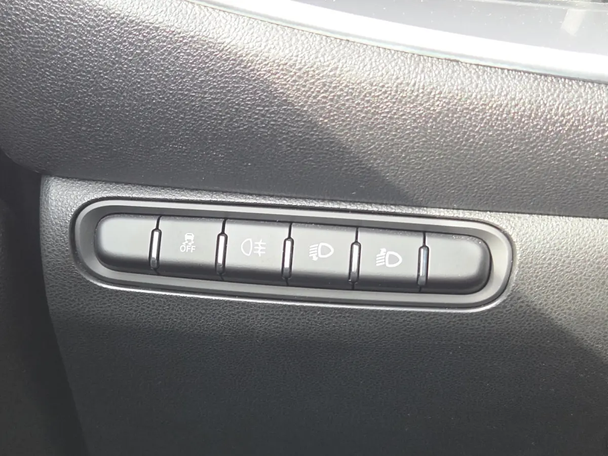 Icon 42 kWh SOH 94,12% | Camera | Full map navigatie | Carplay/android auto | 16 inch lmv |