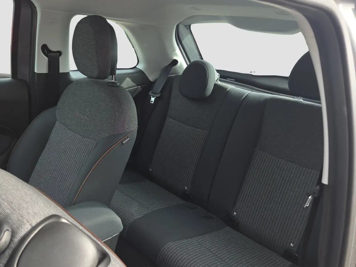 Icon 42 kWh SOH 94,12% | Camera | Full map navigatie | Carplay/android auto | 16 inch lmv |