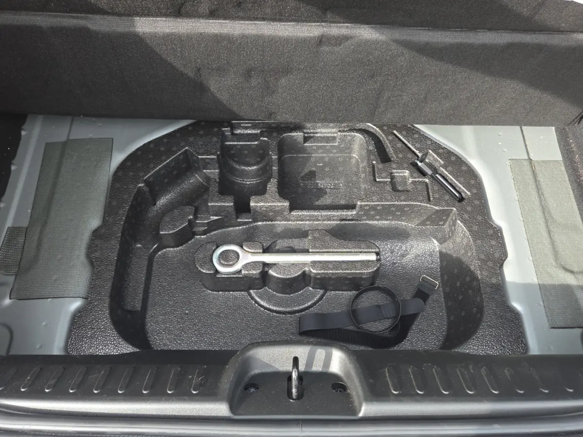 Icon 42 kWh SOH 94,12% | Camera | Full map navigatie | Carplay/android auto | 16 inch lmv |