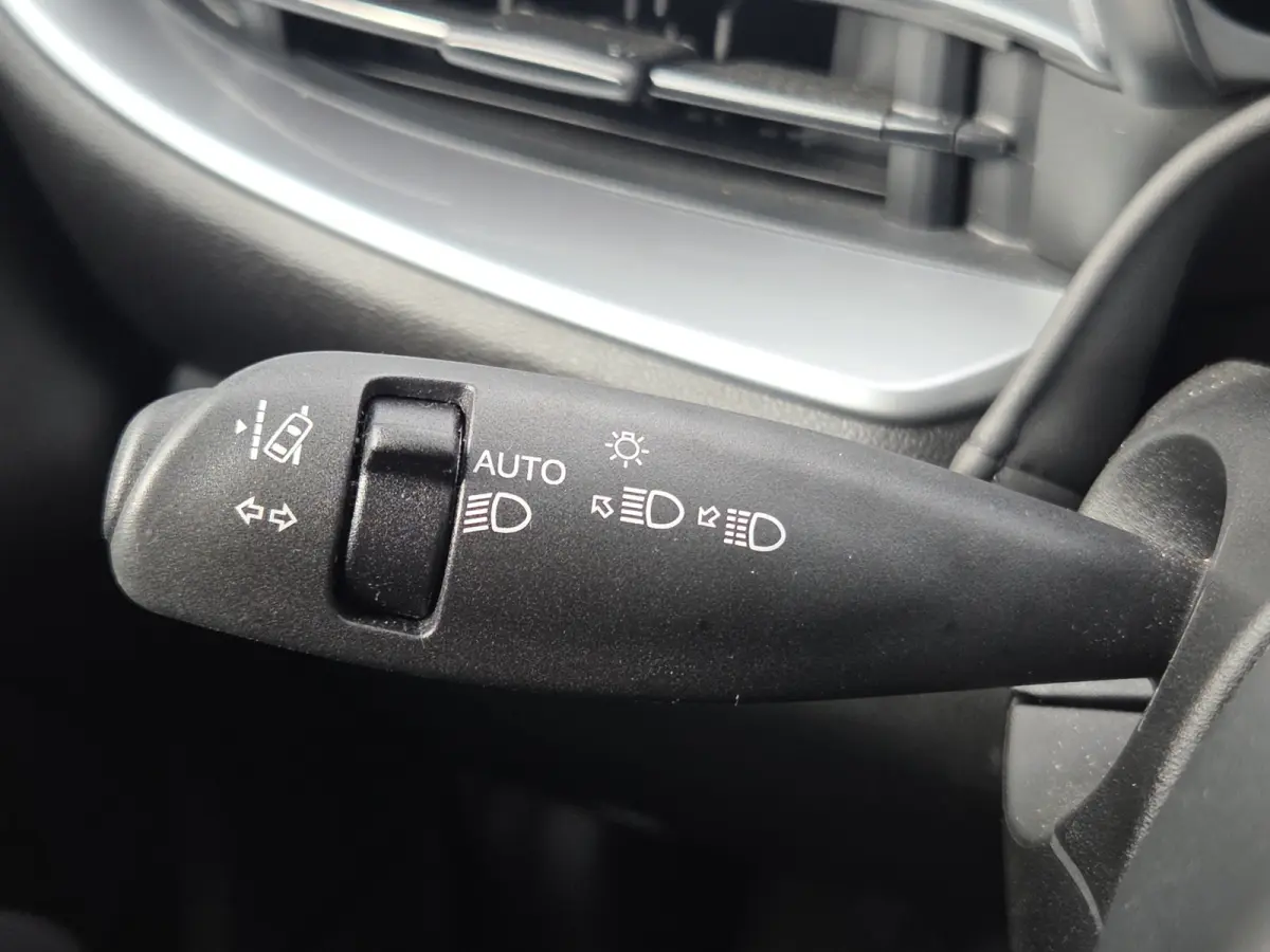 Icon 42 kWh SOH 94,12% | Camera | Full map navigatie | Carplay/android auto | 16 inch lmv |