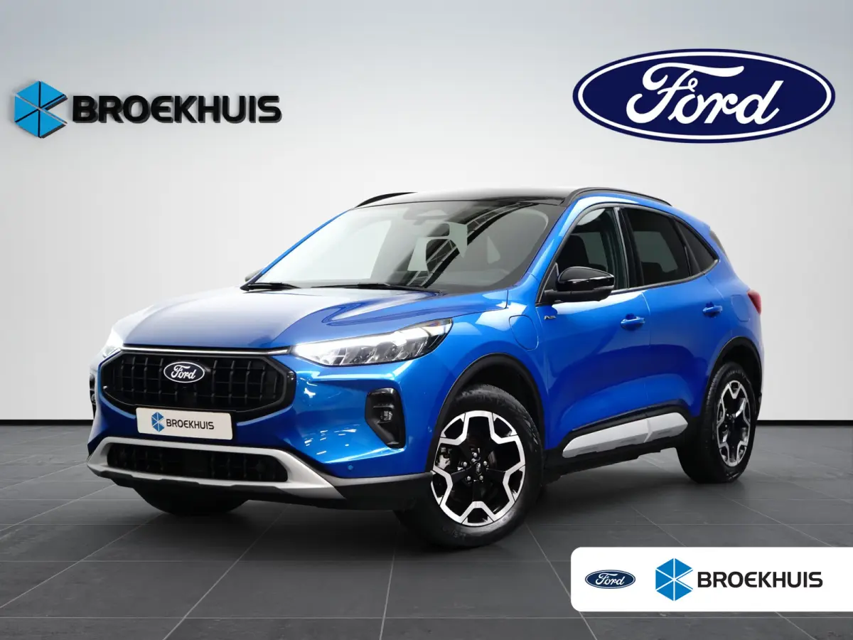 2.5 PHEV Active X 243pk | Winterpack | Adaptive Cruise | Dodehoek Detectie
