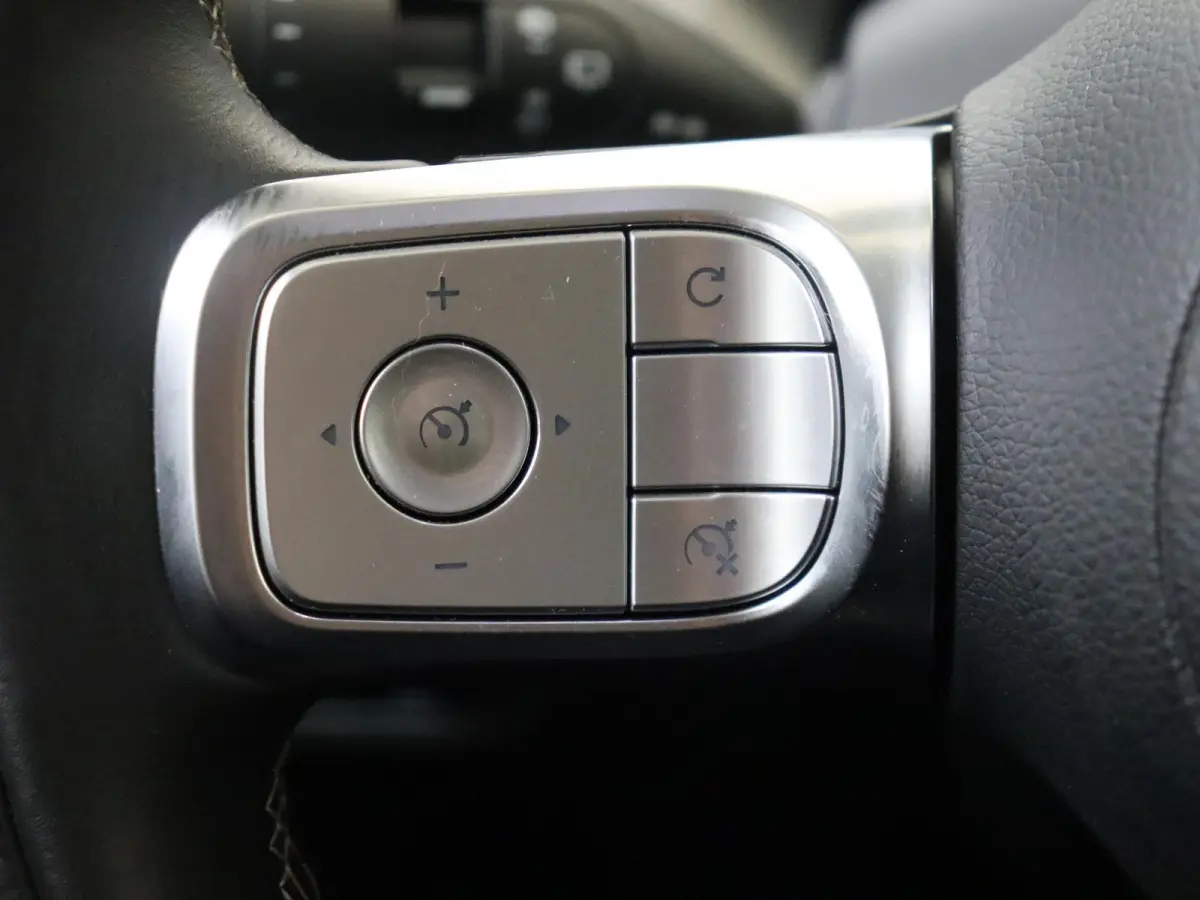 Pro+ / Stoelverwarming / 360Graden-Camera / Elektrisch-verstelbare stoelen / Apple-Android auto  /