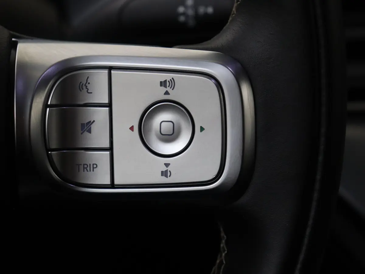 Pro+ / Stoelverwarming / 360Graden-Camera / Elektrisch-verstelbare stoelen / Apple-Android auto  /